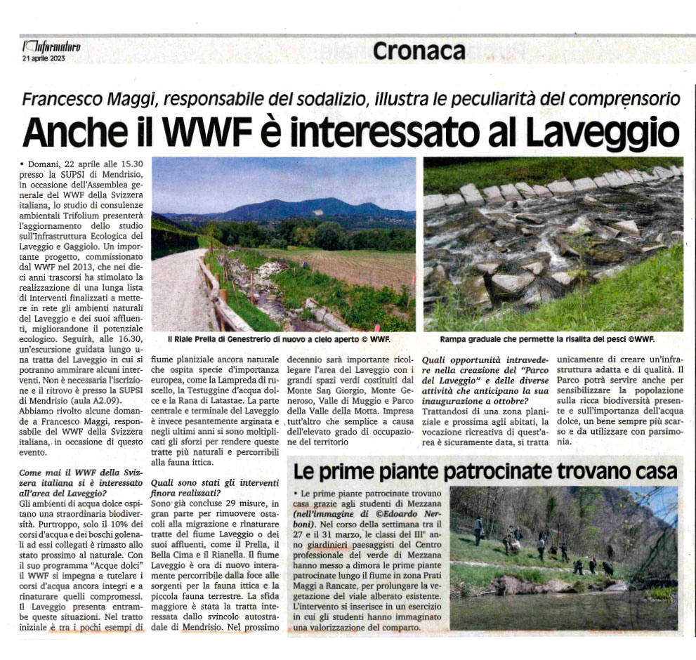 RassegnaStampa_TZ 03.02.2023x